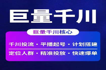 竞价托管与SEO结合的案例分析